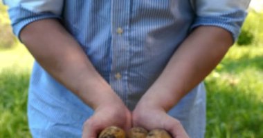 Bir portre adam bir saman şapkalı bir çiftçi, bornozu (gömlek) yerden bir patates kadar Digs ve o kadar asansörler, bunu gösterir, kir temizler ve sonra nefes ve taze patates hissediyor, Bio organik.