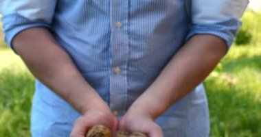 Bir portre adam bir saman şapkalı bir çiftçi, bornozu (gömlek) yerden bir patates kadar Digs ve o kadar asansörler, bunu gösterir, kir temizler ve sonra nefes ve taze patates hissediyor, Bio organik.