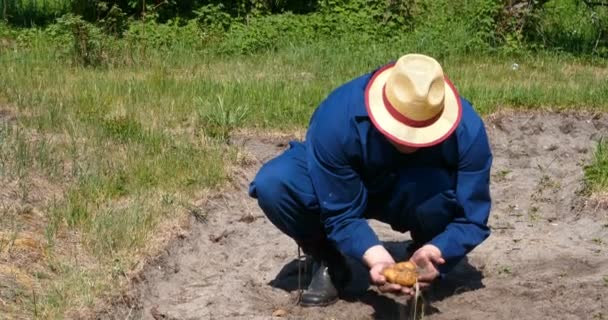 Portrait Guy Farmer Straw Hat Robe Shirt Digs Potato Ground — Stock Video