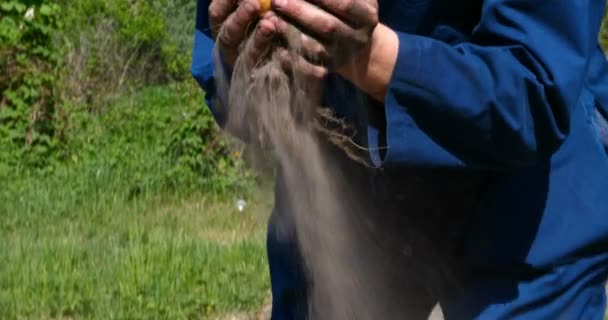 肖像画の男わらの帽子で農夫は ローブ シャツ で地面からジャガイモを掘り それを示し 汚れをきれいにし それから吸入し 新鮮なジャガイモを感じ バイオ有機 — ストック動画