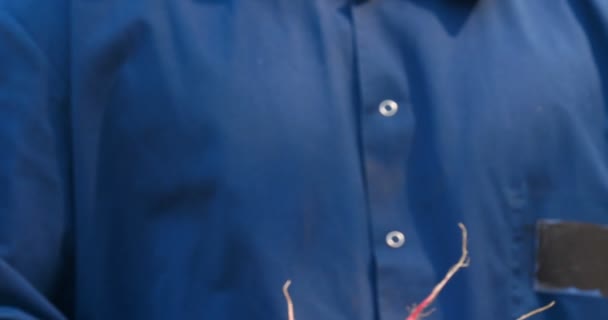 Портрет Парня Фермера Соломенной Шляпе Халат Рубашка Поднимает Грязные Чистые — стоковое видео