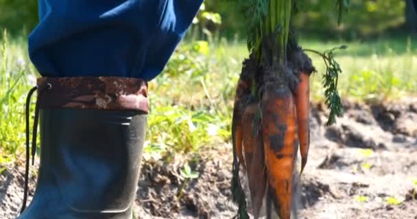 Der Porträtist Der Bauer Mit Strohhut Robe Hemd Hebt Schmutzige — Stockvideo