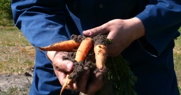 Portrétní Chlapík Farmář Slaměném Klobouku Župan Košile Zvedá Špinavé Čisté — Stock video