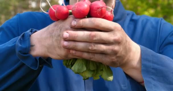 Cara Retrato Fazendeiro Chapéu Palha Manto Camisa Levanta Mãos Sujas — Vídeo de Stock