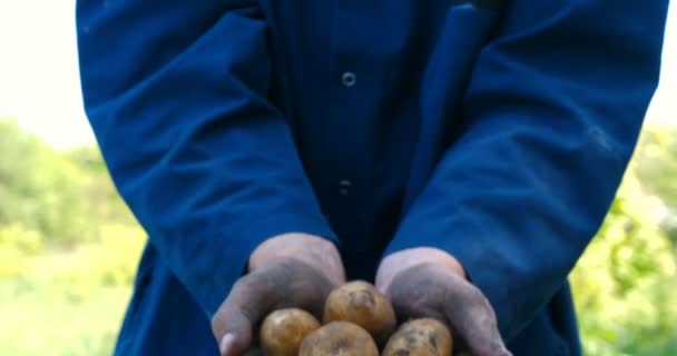 Cara Retrato Fazendeiro Chapéu Palha Roupão Camisa Desenterra Uma Batata — Vídeo de Stock