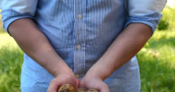 Portraitiste Fermier Dans Chapeau Paille Peignoir Chemise Déterre Une Pomme — Video