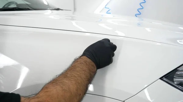The professional worker holds a white sponge in his hand, applies liquid, auto repair shop, car washing, checks a car with a flashlight after polishing and painting in a car garage.