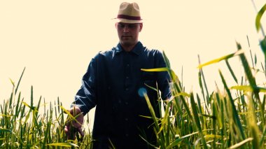 Genç bir adam portresi (adam) çalışan bir üniforma ve buğday ve saman etrafında bir alanın ortasında bir hasır şapka, etrafında çalışan ve olgunluk için buğday kontrol, bir gömlek ve hasır şapka ısı alanı temiz hava solur ve özgür hissediyor. 