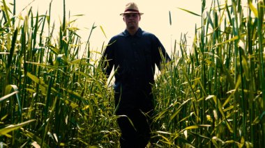 Genç bir adam portresi (adam) çalışan bir üniforma ve buğday ve saman etrafında bir alanın ortasında bir hasır şapka, etrafında çalışan ve olgunluk için buğday kontrol, bir gömlek ve hasır şapka ısı alanı temiz hava solur ve özgür hissediyor. 