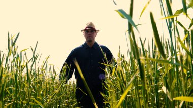 Genç bir adam portresi (adam) çalışan bir üniforma ve buğday ve saman etrafında bir alanın ortasında bir hasır şapka, etrafında çalışan ve olgunluk için buğday kontrol, bir gömlek ve hasır şapka ısı alanı temiz hava solur ve özgür hissediyor. 