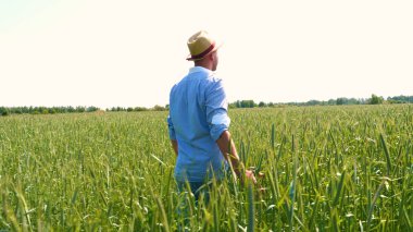 Genç bir adam portresi (adam) çalışan bir üniforma ve buğday ve saman etrafında bir alanın ortasında bir hasır şapka, etrafında çalışan ve olgunluk için buğday kontrol, bir gömlek ve hasır şapka ısı alanı temiz hava solur ve özgür hissediyor. 