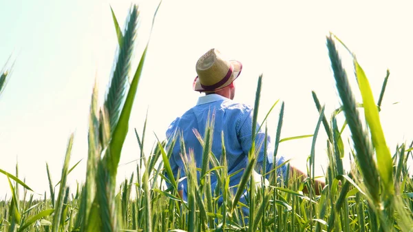 Retrato Joven Hombre Con Uniforme Trabajo Sombrero Paja Medio Campo — Foto de Stock