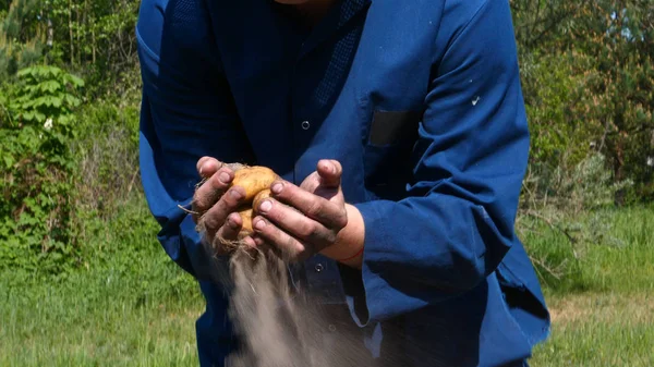 Retratista Granjero Con Sombrero Paja Bata Camisa Desentierra Una Papa — Foto de Stock