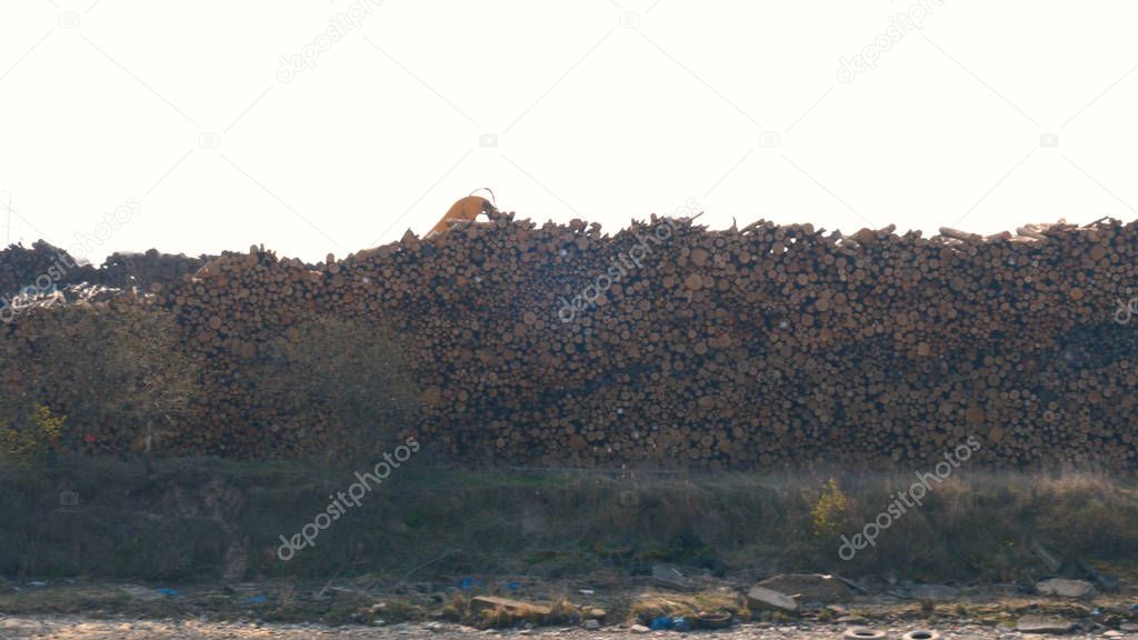 In an industrial sawmill, a log loader overloads (unloads) logs from a mountain into a wagon. Concept of: Nature Background, Slow Motion, Work, Log Mountains, Bucket Loader.
