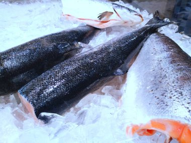 Mağazada (evde) buz içinde buzdolabında, taze hazır pişirmeye hazır (satılık) somon balığı doğranır (bütün). Konsept: Satılık Balık, Somon, Dilimli, Taze yazma, Market, Dükkan, Satış.