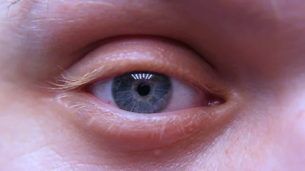 Técnico Laboratório Sexo Masculino Profissional Cientista Trabalhador Óculos Laboratório Olha — Fotografia de Stock