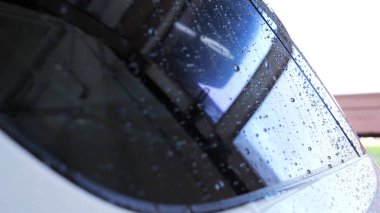 Profesyonel araba yıkama hizmeti sonra profesyonel araba yıkayarak mendil ve kurur pencere. Konsept: Okuma gözlükleri, Profesyonel çalışma, Siyah eldiven, Mavi bez