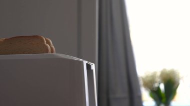 Mutfakta, bir erkek (kız) buzdolabından yiyecek çıkarır ve tost makinesinin yanına kahvaltı hazırlar, hazır ekmek kızartma makineleri çıkarılır. Ev yapımı yemek, rahatlık, kahvaltı, ağır çekim kavramı.