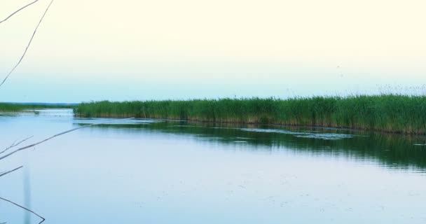 Fishing Lake Sunset Fishing Background Fishing Float Water Lake — Stock Video