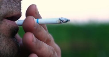 Doğanın arka planında, kıllı (sakallı) bir adam sigara içer, duman ıstırlar ve duman üfler. Kavramı: Sağlığa zarar, Sigara, Zarar prerode, Duman, El İşaretleme, Yavaş Mo.