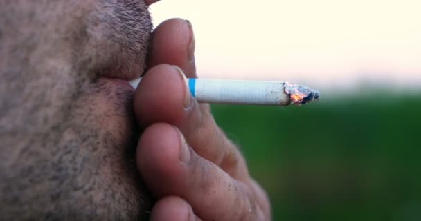 Mot Bakgrund Naturen Man Med Borst Skägg Röker Cigarett Suger — Stockvideo