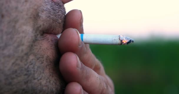 Mot Bakgrund Naturen Man Med Borst Skägg Röker Cigarett Suger — Stockvideo