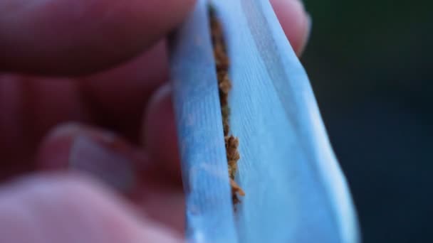 Un homme qui fait des joints et une planque de marijuana dehors. Concept de : Fumer, Mains, Mouvement lent, Marijuana .