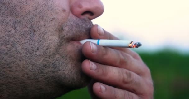 Фоне Природы Человек Щетиной Бородой Курит Сигарету Всасывая Дым Выдыхая — стоковое видео