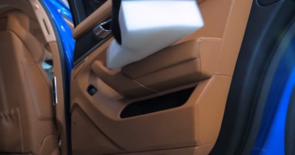 Жінка Автомийці Робить Повне Хімчищення Всіх Частин Автомобіля Використовуючи Спеціальну — стокове відео