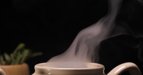 お茶の淹れ方 新鮮なブライアーのカップ 暗い気分 湯気でお湯を注ぎます コンセプト ホット スチーム セラミック マグカップ — ストック動画