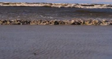 Rüzgarda profesyonel sörfçü okyanusa denizde rüzgar hazırlanıyor. Rüzgar sörfçüsü fırtınada dalgayı yakalar. Konsept: Spor, Yaşam Tarzı, Yönetim Kurulu, Dalgalar, Yavaş Hareket