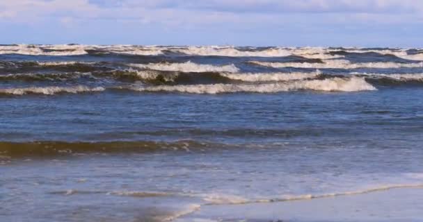 Surfista Profesional Viento Preparando Viento Mar Océano Windsurfer Atrapa Ola — Vídeo de stock