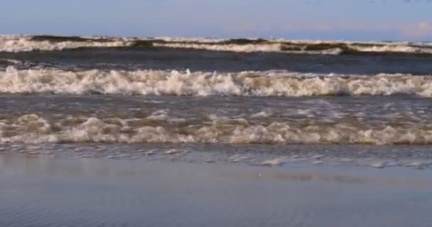 Surfista Profesional Viento Preparando Viento Mar Océano Windsurfer Atrapa Ola — Vídeos de Stock