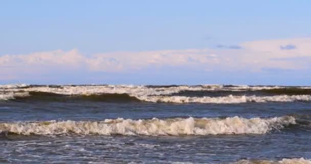 Rüzgarda Profesyonel Sörfçü Okyanusa Denizde Rüzgar Hazırlanıyor Rüzgar Sörfçüsü Fırtınada — Stok video