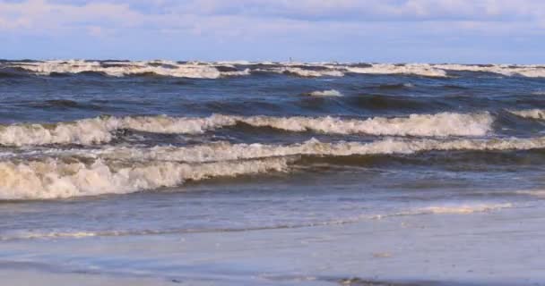 Professionele Surfer Wind Voorbereiding Van Wind Zee Naar Oceaan Windsurfer — Stockvideo