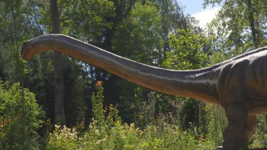 Dinozorların yeniden inşası parkın Eğitim Yolu'nda orijinal ve doğal boyuta yakındır..