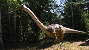 Dinozorların yeniden inşası parkın Eğitim Yolu'nda orijinal ve doğal boyuta yakındır..