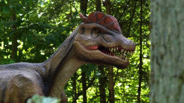 Dinozorların yeniden inşası parkın Eğitim Yolu'nda orijinal ve doğal boyuta yakındır..