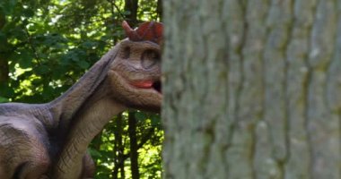 Dinozorların yeniden inşası parkın Eğitim Yolu'nda orijinal ve doğal boyuta yakındır..