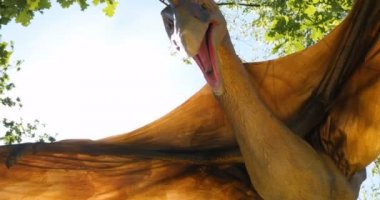 Dinozorların yeniden inşası parkın Eğitim Yolu'nda orijinal ve doğal boyuta yakındır..