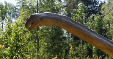 Dinozorların yeniden inşası parkın Eğitim Yolu'nda orijinal ve doğal boyuta yakındır..