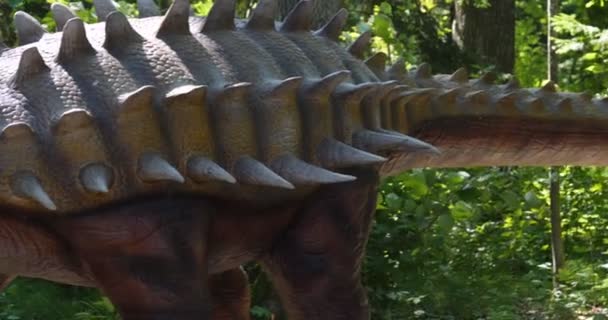 Reconstructions Dinosaurs Close Original Natural Size Educational Path Park — Stock Video