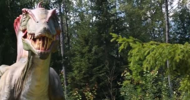 Les Reconstructions Des Dinosaures Sont Proches Original Taille Naturelle Dans — Video