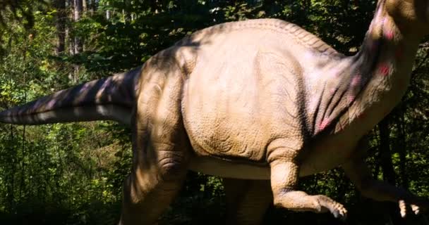 Rekonstruktioner Dinosaurier Nära Originalet Och Naturlig Storlek Den Pedagogiska Vägen — Stockvideo