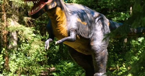 Reconstructions Dinosaurs Close Original Natural Size Educational Path Park — Stock Video