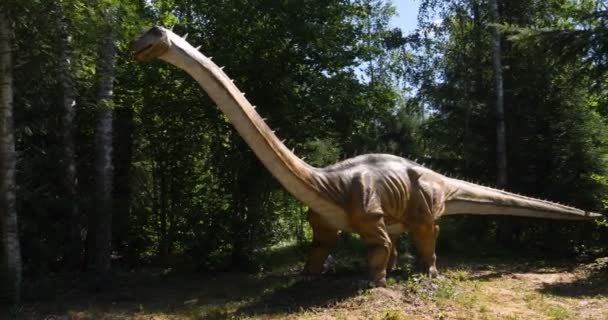 Die Rekonstruktionen Der Dinosaurier Sind Nahe Original Und Von Natürlicher — Stockvideo