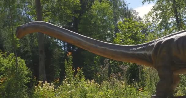 Реконструкция Динозавров Близка Первоначальному Естественному Размеру Образовательной Тропе Парка — стоковое видео