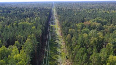 Ormandaki elektrik hatları kulesi. Peyzaj manzaralı elektrik kulesi hattı. Elektrik ve çevresel problem kavramı. Ariel görünümü Yüksek voltaj güç pilonları.
