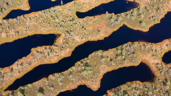 Stock image Aerial shooting from the drone. Beautiful landscape with Islands and lake. Turquoise water and beautiful winding shores with coniferous forests and wild beaches.