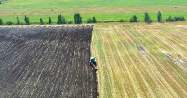 Pemandangan Udara Drone Dari Ladang Panen Dengan Traktor Memotong Rumput — Stok Video